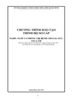 CHƯƠNG TRÌNH ĐÀO TẠOTRÌNH ĐỘ SƠ CẤP NGHỀ: NUÔI VÀ PHÒNG TRỊ BỆNH CHO GIA SÚC,GIA CẦM