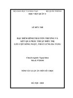 Đặc điểm hình thái tổn thương và kết quả phẫu thuật điều trị gãy cột sống ngực, thắt lưng đa tầng (tt) 