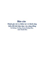Báo cáo Đánh giá rủi ro thiên tai và thích ứng biến đổi khí hậu dựa vào cộng đồng Xã Hoằng Trường, huyện Hoằng Hóa, tỉnh Thanh Hóa