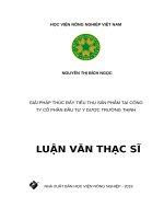 GIẢI PHÁP THÚC ĐẨY TIÊU THỤ SẢN PHẨM TẠI CÔNG TY CỔ PHẦN ĐẦU TƯ Y DƯỢC TRƯỜNG THỊNH