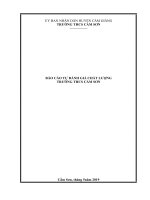 BÁO CÁO TỰ ĐÁNH GIÁ CHẤT LƯỢNG TRƯỜNG THCS CẨM SƠN Cẩm Sơn