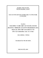 TÁCH DÒNG VÀ BIỂU HIỆN GEN MÃ HÓA ENZYME DEACETYL VINDOLINE 4-O-ACETYLTRASFERASE (DAT) THAM GIA TỔNG HỢP ALKALOID TỪ CÂY DỪA CẠN (Catharanthus roseus (L.) G Don )