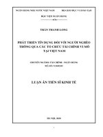 PHÁT TRIỂN TÍN DỤNG ĐỐI VỚI NGƯỜI NGHÈO THÔNG QUA CÁC TỔ CHỨC TÀI CHÍNH VI MÔ TẠI VIỆT NAM