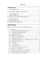 skkn tổ chức trò chơi học tập trong dạy học môn toán lớp 1 