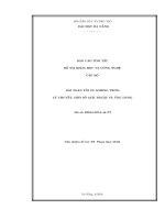 Bài toán tối ưu không trơn lý thuyết, một số giải thuật và ứng dụng 