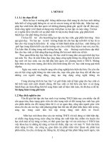 Sáng kiến kinh nghiệm Sử dụng hàm trong giải toán THCS