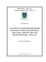 Luận văn thạc sĩ các nhân tố ảnh hưởng đến rủi ro tín dụng cá nhân tại ngân hàng TMCP công thương việt nam chi nhánh bà rịa vũng tàu 
