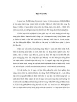 ĐÁNH GIÁ KIẾN THỨC CỦA BỆNH NHÂN VỀ BỆNH LUPUS BAN ĐỎ HỆ THỐNG VÀ CÁC YẾU TỐ ẢNH HƯỞNG ĐẾN BỆNH