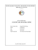 Đồ án môn học Cơ sở dữ liệu hồ sơ địa chính: Xây dựng cơ sở dữ liệu hồ sơ địa chính cho tờ bản đồ 8, phường 16, quận Gò Vấp, thành phố Hồ Chí Minh