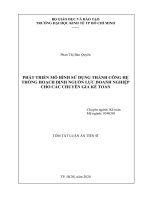 PHÁT TRIỂN mô HÌNH sử DỤNG THÀNH CÔNG hệ THỐNG HOẠCH ĐỊNH NGUỒN lực DOANH NGHIỆP CHO các CHUYÊN GIA kế TOÁN tt 