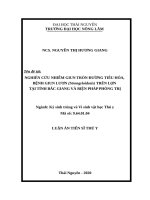 Nghiên cứu nhiễm giun tròn đường tiêu hóa, bệnh giun lươn (strongyloidosis) trên lợn tại tỉnh bắc giang và biện pháp phòng trị tt 