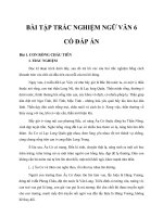 BÀI TẬP TRẮC NGHIỆM NGỮ VĂN 6CÓ ĐÁP ÁN