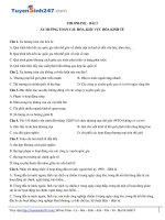 TS247 DT thi online xu huong toan cau hoa khu vuc hoa kinh te 11899 1500347539 