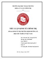 Tiểu luận kinh tế chính trị  kinh tế thị trường định hướng XHCN ở Việt Nam