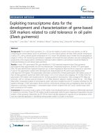 Exploiting transcriptome data for the development and characterization of gene-based SSR markers related to cold tolerance in oil palm (Elaeis guineensis)