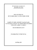 Nghiên cứu điều chế phức Cu(CH₃CN)₄PF₆ và ứng dụng làm xúc tác trong phản ứng đóng vòng giữa AZIDE và ANKIN 1 