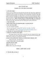 Một số bài toán về tính đơn điệu của hàm số ẩn