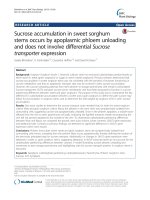 Sucrose accumulation in sweet sorghum stems occurs by apoplasmic phloem unloading and does not involve differential Sucrose transporter expression