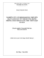 Nghiên cứu cố định kháng thể lên hạt nano sắt từ nhằm ứng dụng trong chẩn đoán ung thư tiền liệt tuyến 