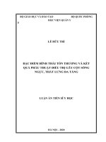 Đặc điểm hình thái tổn thương và kết quả phẫu thuật điều trị gãy cột sống ngực, thắt lưng đa tầng 