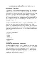 BÀI TIỂU LUẬN MÔN: KỸ THUẬT ĐIỆN CAO ÁP