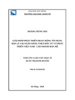 Giải pháp phát triển hoạt động tín dụng bán lẻ tại ngân hàng TMCP đầu tư và phát triển việt nam – chi nhánh ban mê 