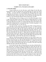 báo cáo kết quả nghiên cứu ứng dụng sáng kiến xây dựng quá trình tuyển chọn vận động viên và lựa chọn hệ thống bài tập để huấn luyện đội tuyển đẩy gậy trường trung học phổ thông trần hưng đạo 