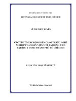 Các yếu tố tác động đến căng thẳng nghề nghiệp của nhân viên y tế tại bệnh viện đại học y dược thành phố hồ chí minh 