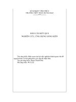 báo cáo kết quả nghiên cứu ứng dụng sáng kiến biên soạn câu hỏi trắc nghiệm khách quan chủ đề nguyên hàm và tích phân theo các cấp độ nhận thức 