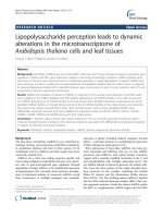 Lipopolysaccharide perception leads to dynamic alterations in the microtranscriptome of Arabidopsis thaliana cells and leaf tissues