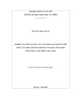 Nghiên cứu chế tạo nano kim loại chuyển tiếp phân tán trên zirconium dioxit ứng dụng tổng hợp pentanoic axit trong pha lỏng 