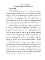 SKKN nâng cao chất lượng giáo dục lịch sử cho học sinh từ các hoạt động ngoại khóa, trải nghiệm ở trường THPT trần hưng đạo 