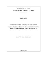 Nghiên cứu nguyên nhân mất ổn định bờ sông, tương ứng đoạn từ k21+600 đến k26+500 đê hữu hồng, huyện ba vì, hà nội và đề xuất giải pháp gia cố 