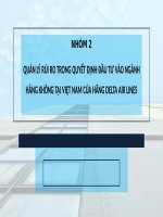 slide thuyết trình quản lý rủi ro trong quyết định đầu tư vào ngành hàng không tại việt nam của hãng delta air lines 