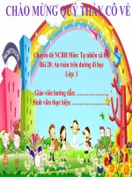 BÀI GIẢNG CHUYÊN ĐỀ NCBH:  «Chuyên đề NCBH  Môn Tự nhiên xã hội Lớp 1  Bài 20: An toàn trên dường đi học.»