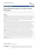 In vivo functional analysis of a nuclear restorer PPR protein