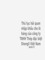 slide thuyết trình thủ tục hải quan nhập khẩu cho lô hàng của công ty TNHH thép đặc biệt shengli việt nam 