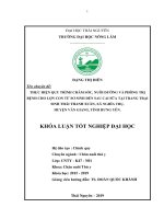 Thực hiện quy trình chăm sóc, nuôi dưỡng và phòng trị bệnh cho lợn con từ sơ sinh đến sau cai sữa tại trang trại sinh thái thanh xuân, xã nghĩa trụ, huyện văn giang, tỉnh hưng yên 