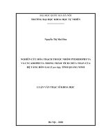 Nghiên cứu hóa thạch thuộc nhóm pteridophyta và cycadophyta trong trầm tích chứa than của hệ tầng hòn gai (t3n r hg), tỉnh quảng ninh 