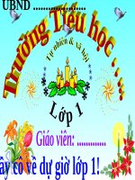 BÀI GIẢNG CHUYÊN ĐỀ: «MÔN TNXH LỚP 1 Bài 27: Con mèo»