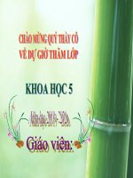 BÀI THI GIẢNG: MÔN: KHOA HỌC LỚP 5  BÀI:  MÂY, TRE, SONG.