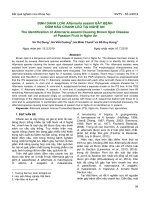 Định danh loài Alternaria sesami gây bệnh đốm nâu chanh leo tại Nghệ An