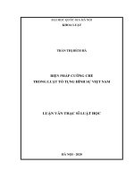 Biện pháp cưỡng chế trong luật tố tụng hình sự việt nam 