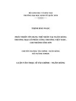 PHÁT TRIỂN tín DỤNG THỂ NHÂN tại NGÂN HÀNG THƯƠNG mại cổ PHẦN CÔNG THƯƠNG VIỆT NAM – CHI NHÁNH sầm sơn 