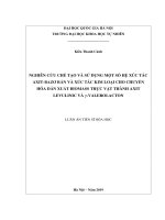Nghiên cứu chế tạo và sử dụng một số hệ xúc tác axit bazơ rắn và xúc tác kim loại cho chuyển hóa dẫn xuất biomass thực vật thành axit levulinic và γ valerolacton 