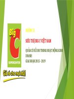 slide thuyết trình quản lý rủi ro trong hoạt động kinh doanh của siêu thị big c việt nam 