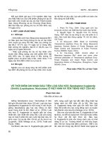 Về thời điểm ghi nhận đầu tiên loài sâu keo Spodoptera frugiperda (Smith) (Lepidoptera: Noctuidae) ở Việt Nam và tên Tiếng Việt của nó