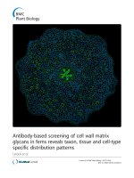 Antibody-based screening of cell wall matrix glycans in ferns reveals taxon, tissue and cell-type specific distribution patterns