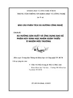 Xu hướng sản xuất và ứng dụng bao bì phân hủy sinh học nhằm giảm thiểu ô nhiễm môi trường 