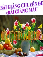 BÀI GIẢNG CHUYÊN ĐỀ «BÀI GIẢNG MẪU MÔN: TỰ NHIÊN XÃ HỘI LỚP 2»